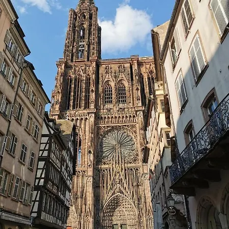 Appartement Les Cèdres - Terrasse&jardin - Wifi - Stationnement Gratuit Strasbourg